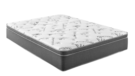 Bamboo Eurotop